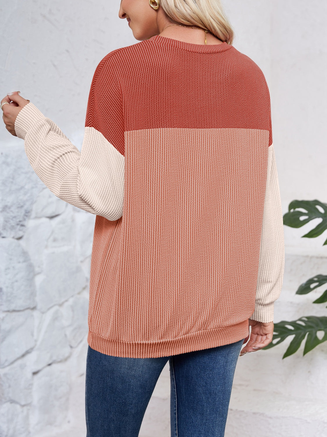 Lovelet Color Block Round Neck Long Sleeve Sweatshirt